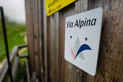 Via Alpina: 20 Jahre Weitwandern