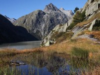 Wegweisender Entscheid für den Moorschutz