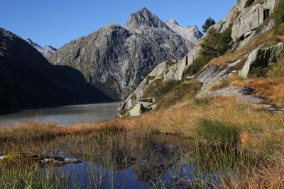 Wegweisender Entscheid für den Moorschutz