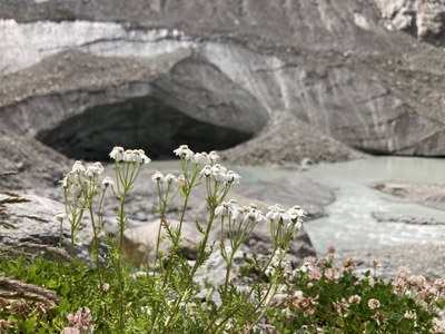 Zuversicht trotz eisfreier Zukunft