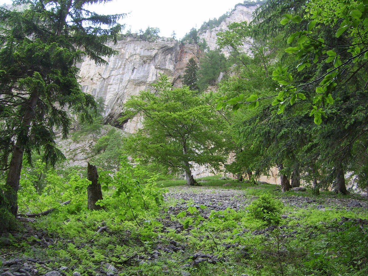 Rax1_c_Helmut Kudrnovsky.JPG