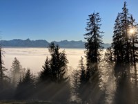 Internationaler Tag der Berge 2019