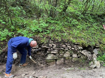 SteinReich - Natur und Leben zuhauf