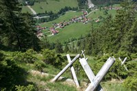 Stürmische Zeiten im Bergwald. Ein Hintergrundbericht
