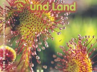 Moore und ihre Rolle im Klimaschutz