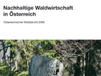 Nachhaltige Waldwirtschaft in Österreich