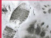 Zoos und die Reduktion ihres ökologischen Fussabdrucks