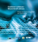 Gewässer schützen – Wasserkraft nützen. Flüsse im Spannungsfeld der Interessen