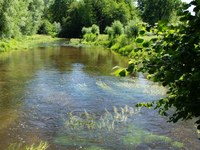 Crossroads Biodiversity