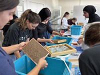 Creative against invasive