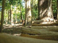 Municipal budget by postcard