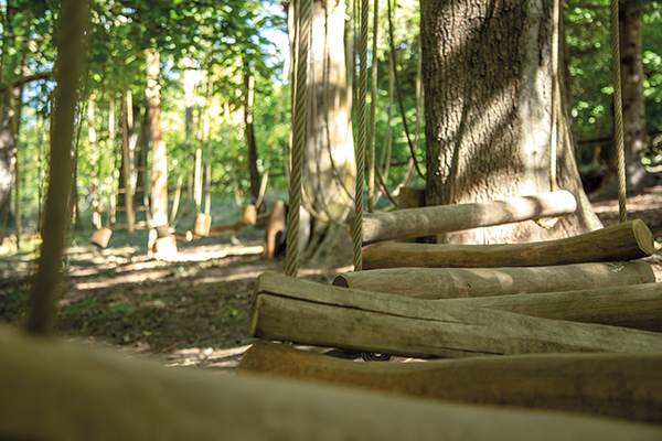 Municipal budget by postcard