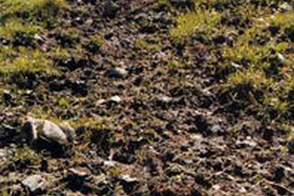 International conference on erosion and related problems