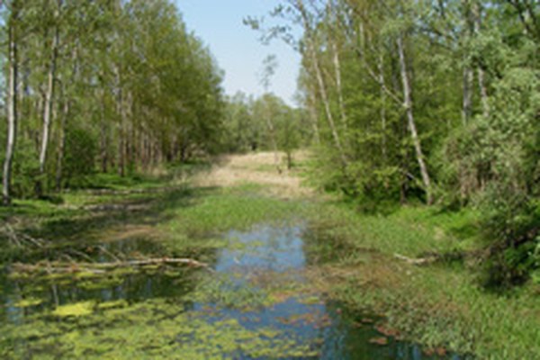 Slovenia: plans for a series of hydraulic power plants