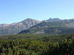 Protected areas in the EU lacking in quality