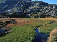 Life+ Projects increasing ecological connections along the Alps-Apennines corridor and in Lapland