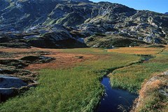 Life+ Projects increasing ecological connections along the Alps-Apennines corridor and in Lapland