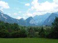 How diversity is lost