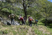 Natural diversity through stones