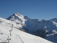 No pardon for crimes against the environment