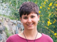 Point of view: The Alps are not an endless source of energy!