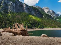 The Alps are drying up