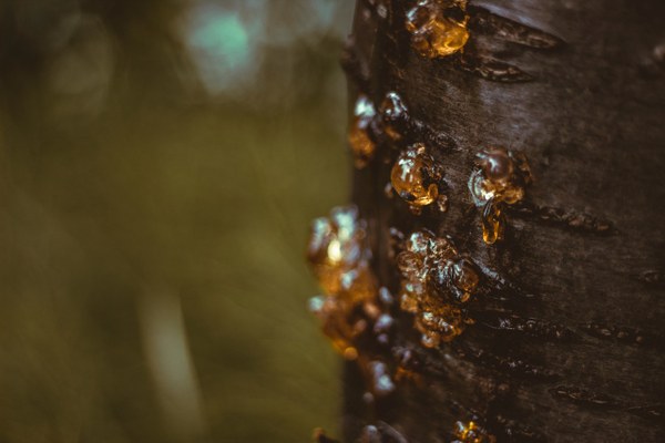 Short story: The sheet of paper