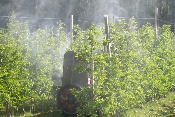 Where pesticides do not belong