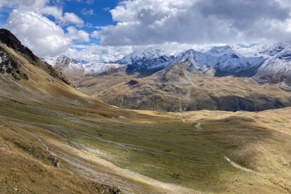 AlpsLife – observe globally, act locally