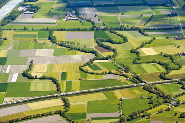 Ecological Continuum Initiative