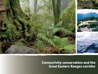 Connectivity conservation and the Great Eastern Ranges corridor