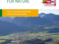 Staking a claim for nature - Policy recommendations for the alpine space
