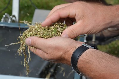 Incrementare la diversità naturale: le regioni pilota condividono esperienze