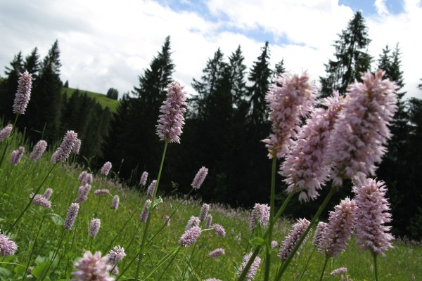 Meno parole, più fatti!