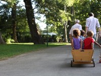 Comportamenti legati alla mobilità