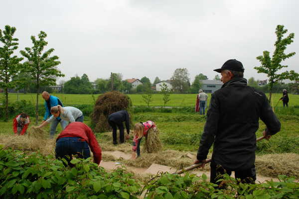 Terreno sciolto grazie alle patate