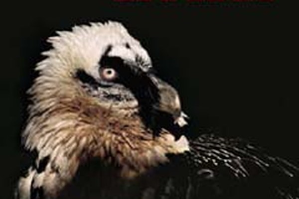 25 anni del progetto internazionale gipeto