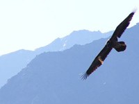 Scambio transalpino per la ricerca sulle aree protette