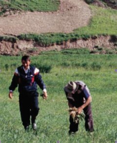 Giornata internazionale delle montagne sul tema della biodiversità