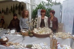 Novità da un progetto DYNALP2: Alchemilla - l'anima delle piante