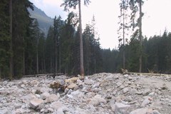 Obiettivi per il clima: un chiaro appello dalla scienza