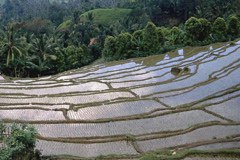 Ricerche scientifiche sulle regioni di montagna e le culture del mondo