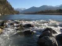 Più vita per il Reno alpino