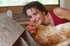 Valutazione dello stato di salute della politica agraria comune