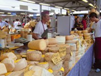 Discussione sulla coesione territoriale in Europa