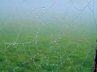 Una rete di partner per una rete di habitat