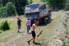 Promozione dell'agricoltura di montagna in vista
