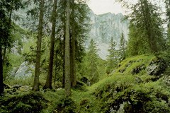 Ricerca per il Clima