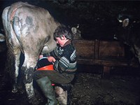 Risoluzione per un'agricoltura di montagna attiva