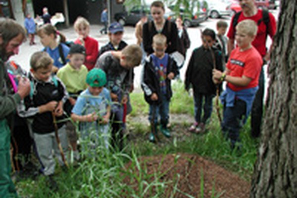 "Comuni dell'Alleanza" nell'opuscolo dell'Arge-Alp "I migliori cinque"